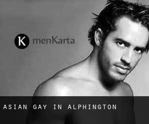 Asian Gay in Alphington