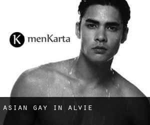 Asian Gay in Alvie