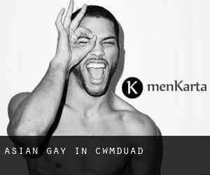 Asian Gay in Cwmduad