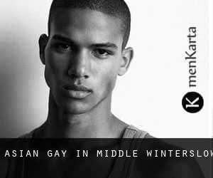Asian Gay in Middle Winterslow