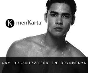 Gay Organization in Brynmenyn