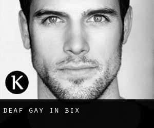 Deaf Gay in Bix