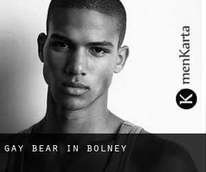 Gay Bear in Bolney