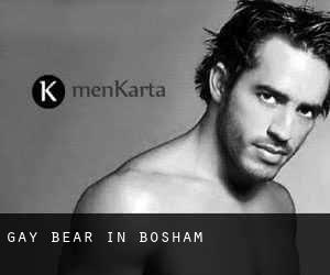 Gay Bear in Bosham