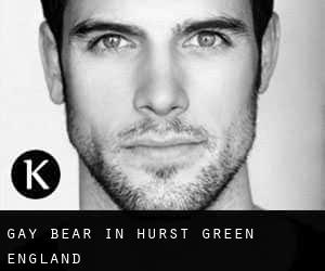 Gay Bear in Hurst Green (England)