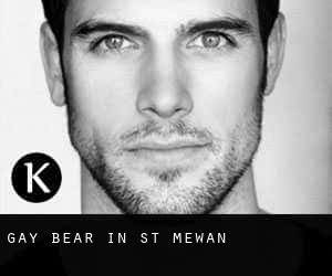 Gay Bear in St Mewan
