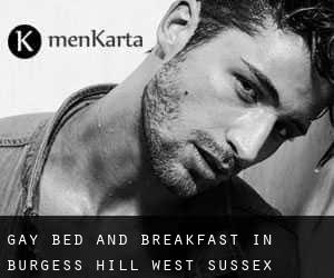 Gay Bed and Breakfast in burgess hill, west sussex