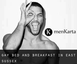 Gay Bed and Breakfast in East Sussex