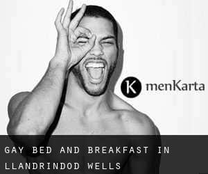 Gay Bed and Breakfast in Llandrindod Wells