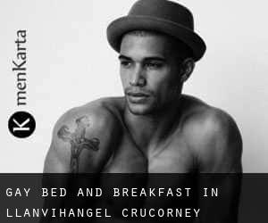 Gay Bed and Breakfast in Llanvihangel Crucorney