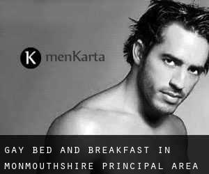 Gay Bed and Breakfast in Monmouthshire principal area