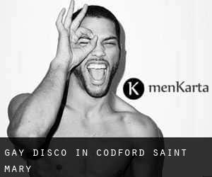 Gay Disco in Codford Saint Mary