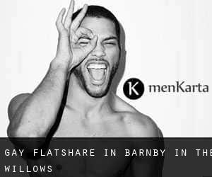 Gay Flatshare in Barnby in the Willows