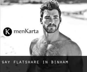 Gay Flatshare in Binham