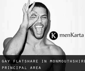 Gay Flatshare in Monmouthshire principal area