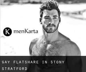 Gay Flatshare in Stony Stratford