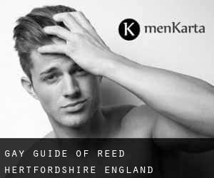 gay guide of Reed (Hertfordshire, England)