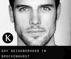 Gay Neighborhood in Brockenhurst