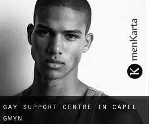 Gay Support Centre in Capel Gwyn
