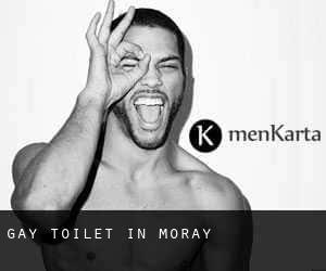 Gay Toilet in Moray