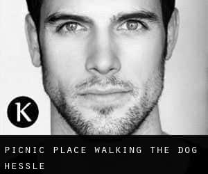 Picnic place - walking the dog (Hessle)