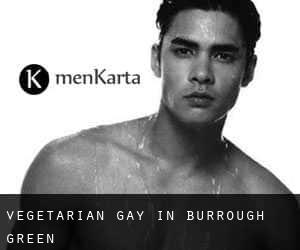 Vegetarian Gay in Burrough Green
